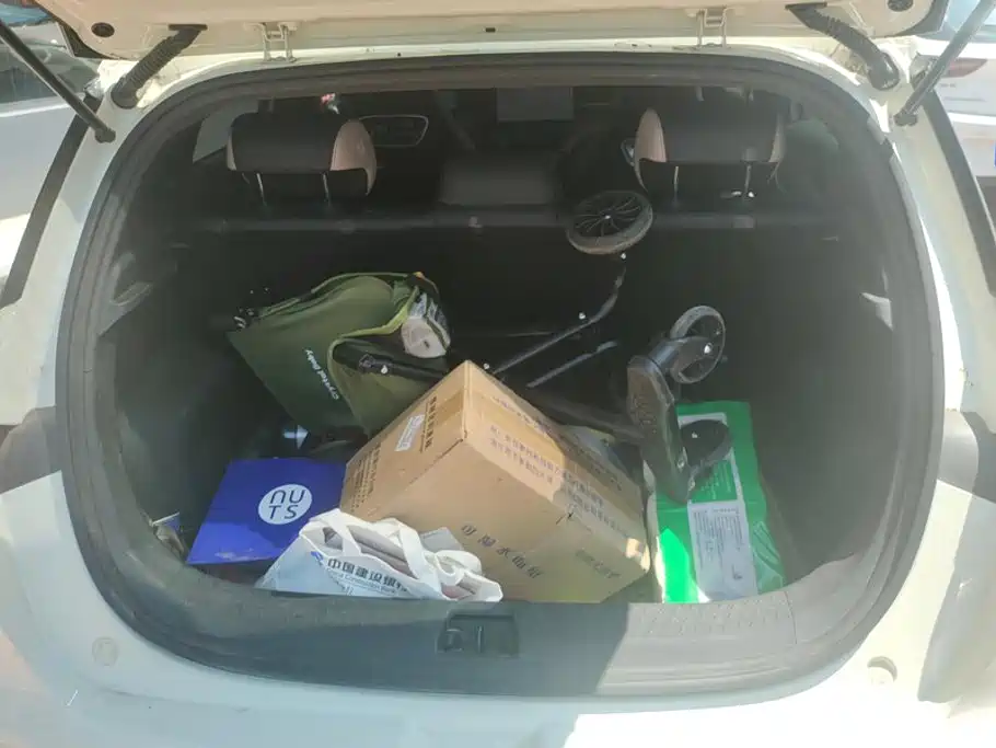 BYD Dolphin 2025