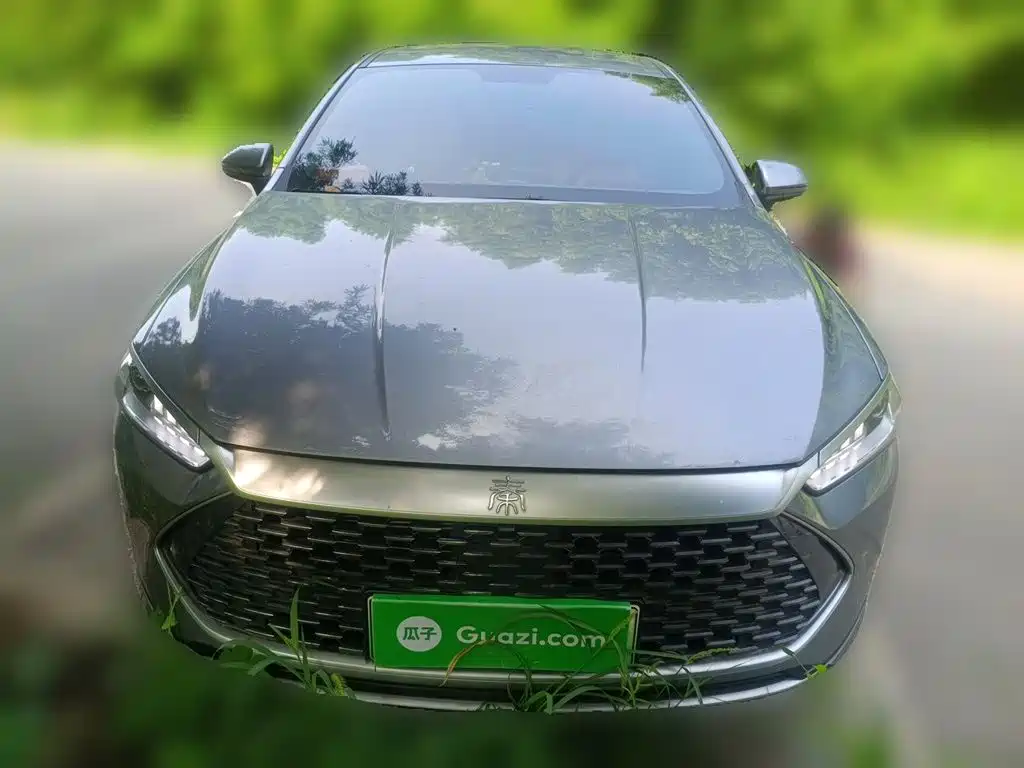 BYD Qin PLUS 2024