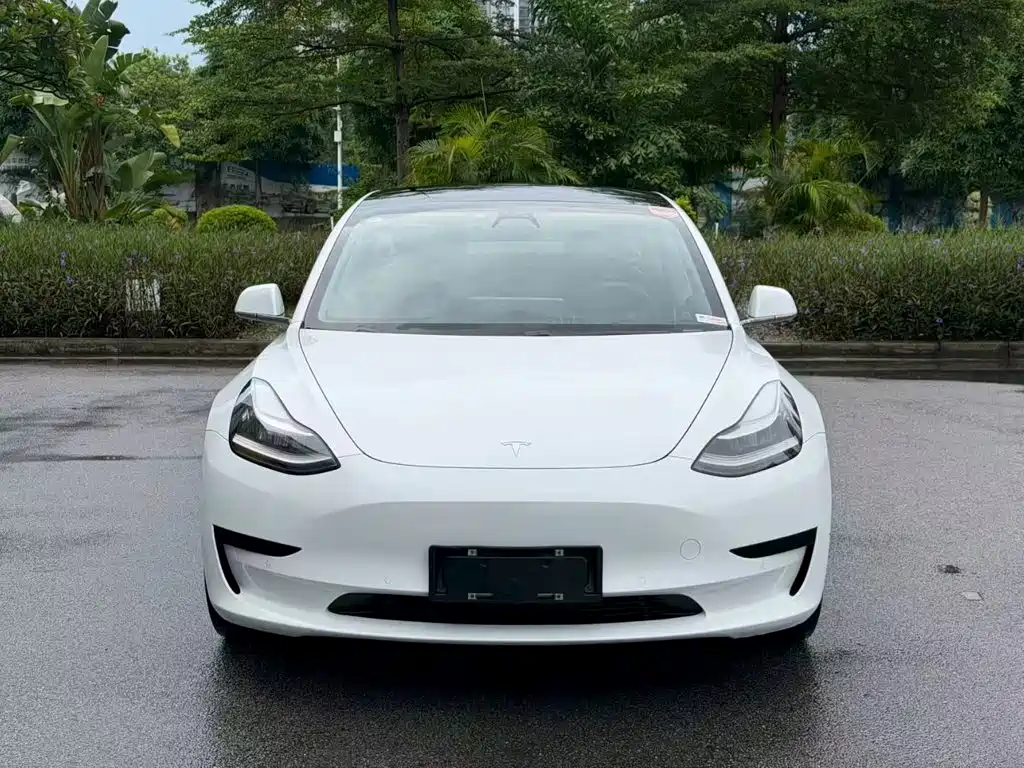 Tesla Model 3 2020 — фото 4