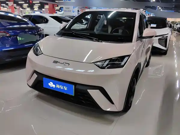 BYD Seagull 2024