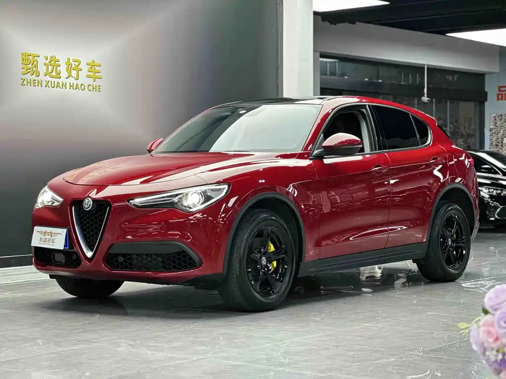 Alfa Romeo Stelvio 2019 — фото 1