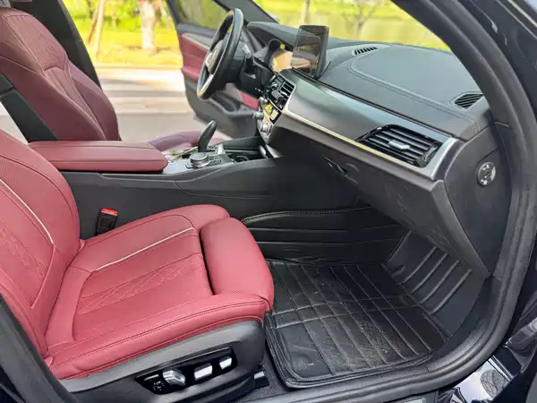 BMW 5 Series New Energy 2021