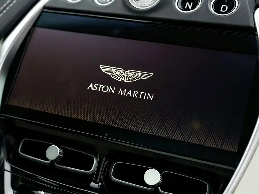 Aston Martin DBX 2023 — фото 19