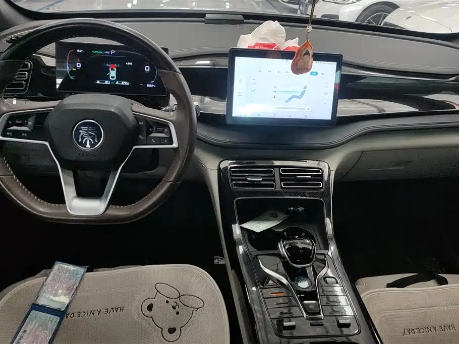 BYD Qin PLUS 2023 — фото 12