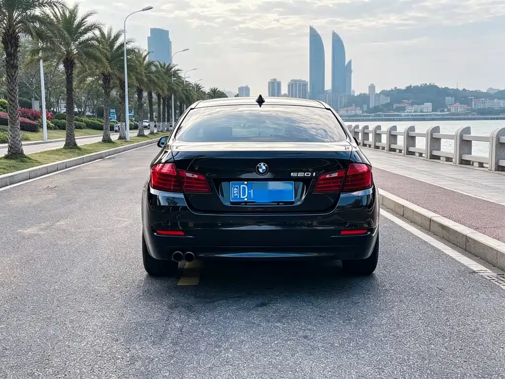 BMW 5 Series 2015 — фото 5