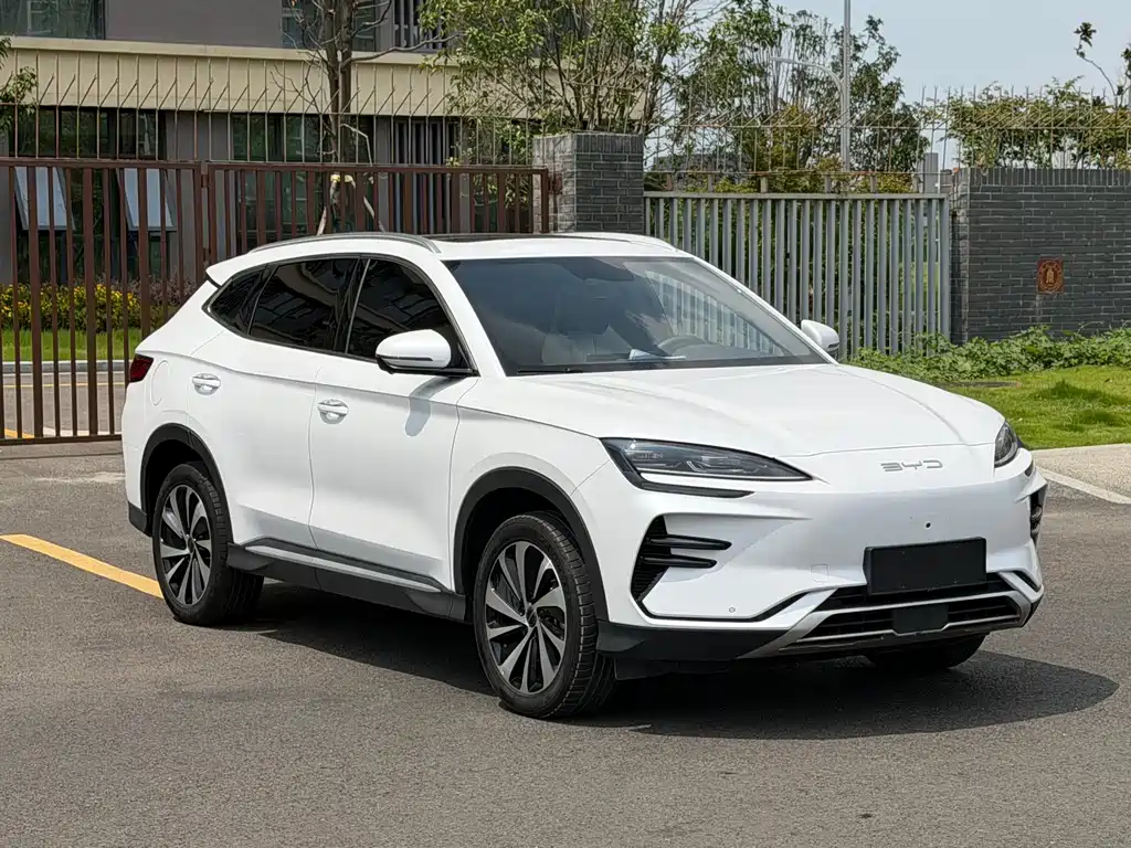 BYD Song PLUS New Energy 2023 — фото 3