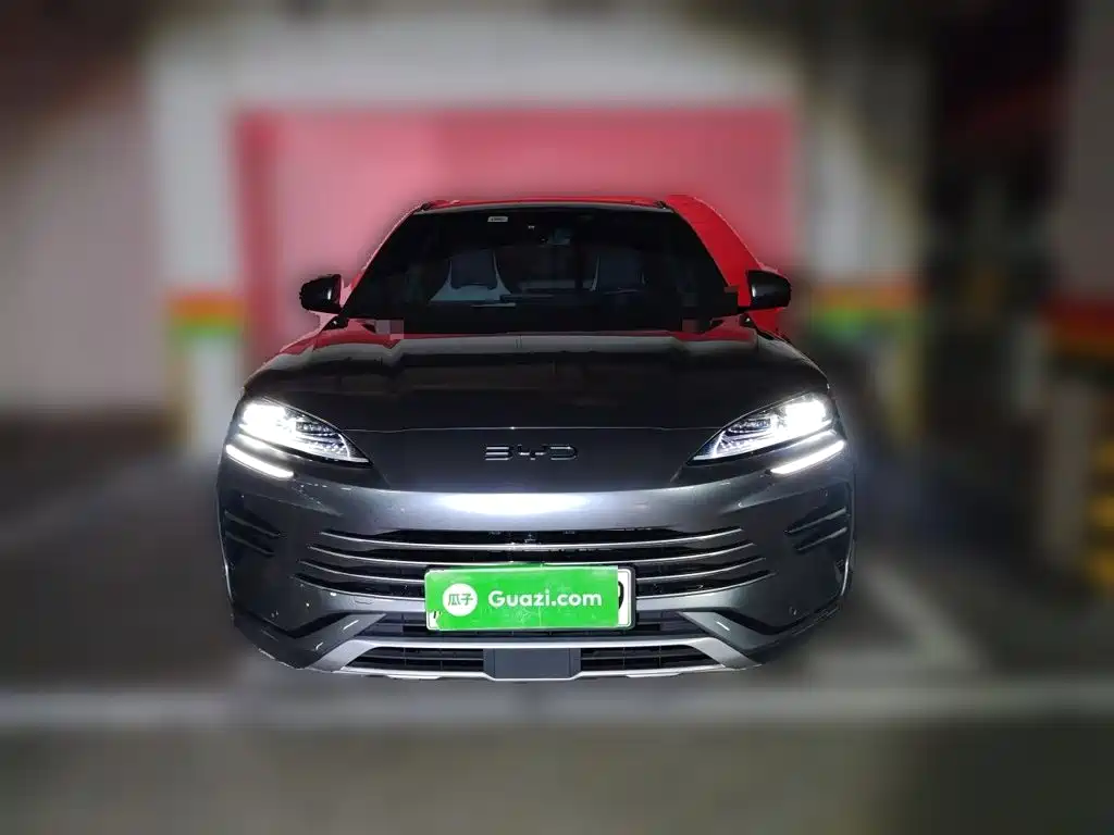 BYD Song PLUS New Energy 2024 — фото 2