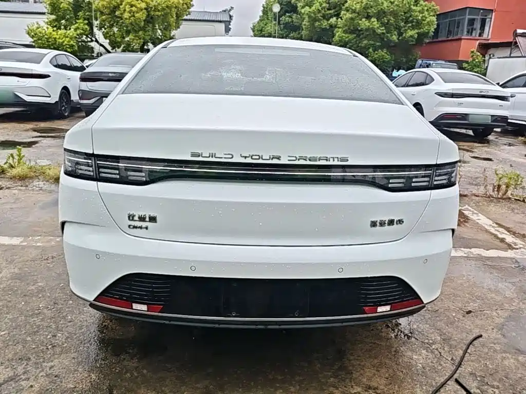 BYD Destroyer 05 2022 — фото 4