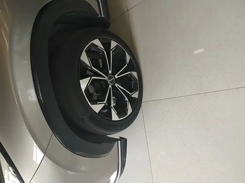 Roewe RX5 New Energy 2023 — фото 23