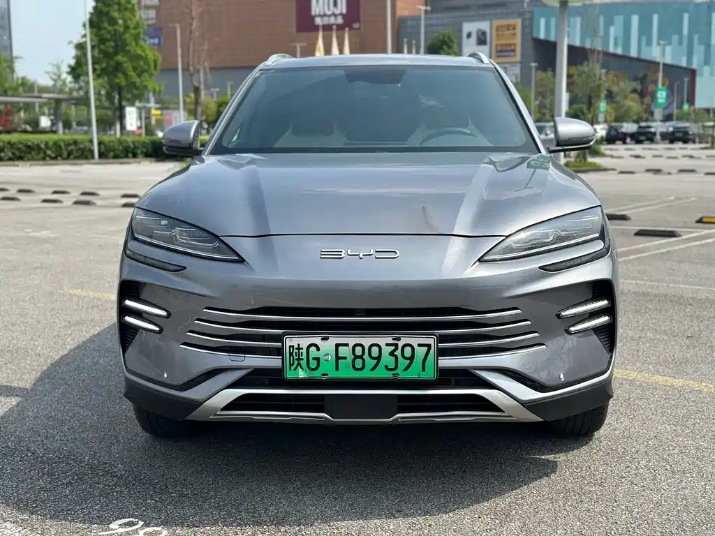 BYD PLUS New Energy 2023 — фото 2