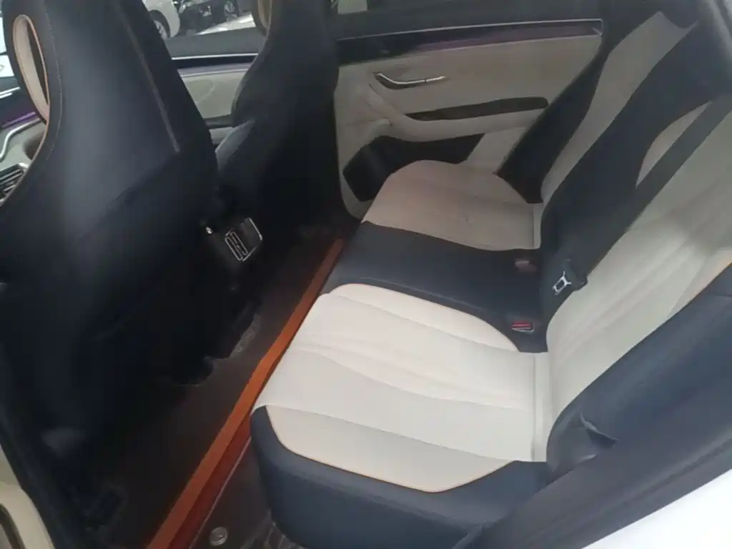 BYD Song PLUS New Energy 2022 — фото 17