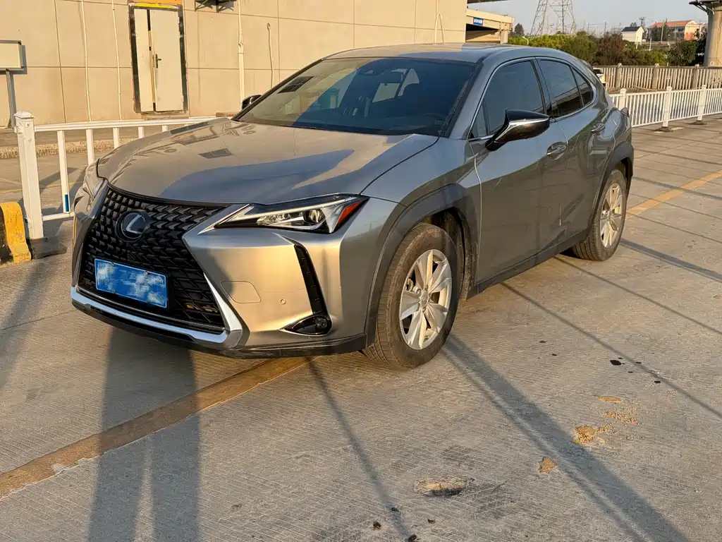 Lexus UX 2020 — фото 1