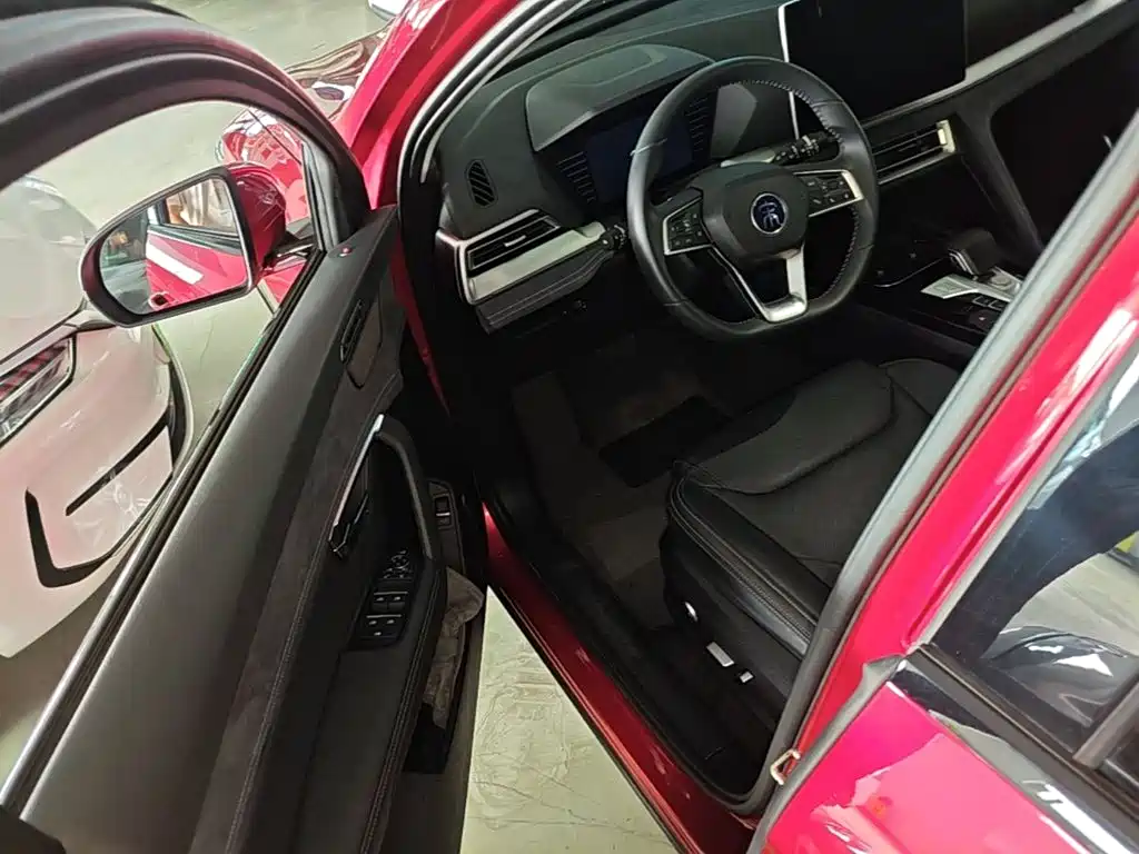 BYD Song Pro New Energy 2019 — фото 12