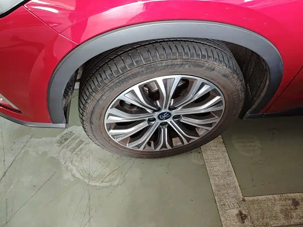BYD Song Pro New Energy 2019 — фото 25