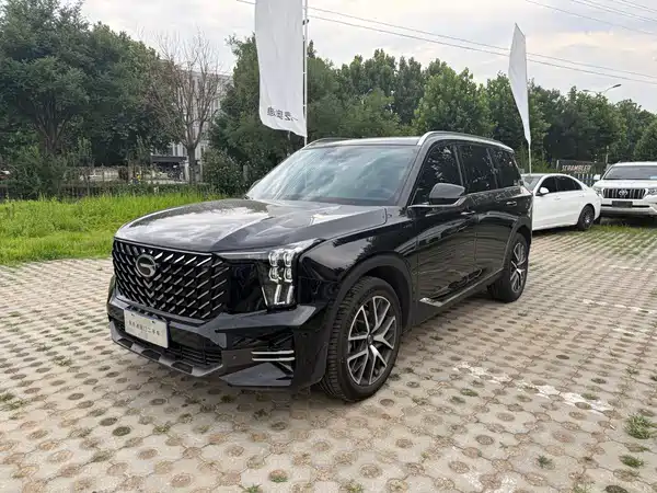 GAC Trumpchi GS8 2024