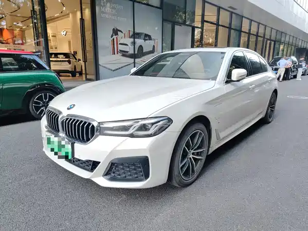 BMW 5 Series New Energy 2022
