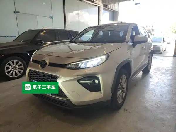 Toyota Wildlander 2020