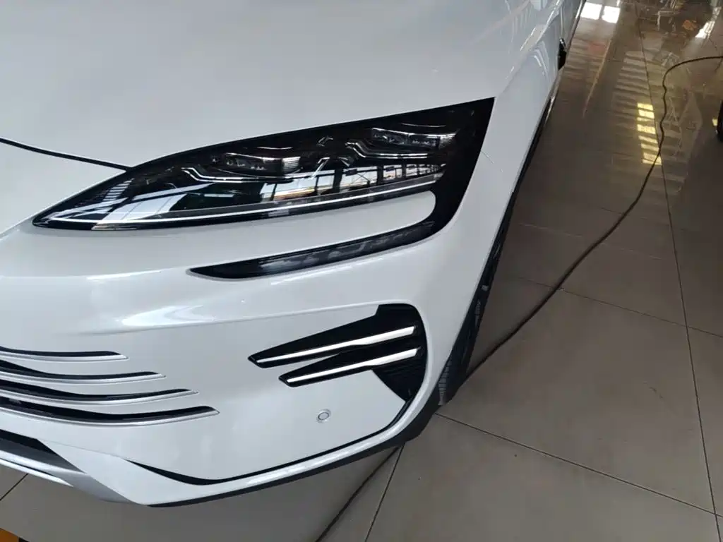 BYD PLUS New Energy 2025 — фото 24