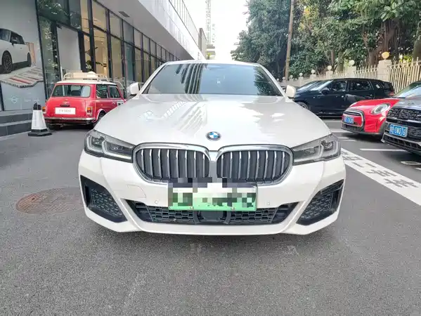 BMW 5 Series New Energy 2022
