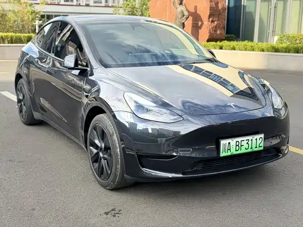 Tesla Model Y 2024
