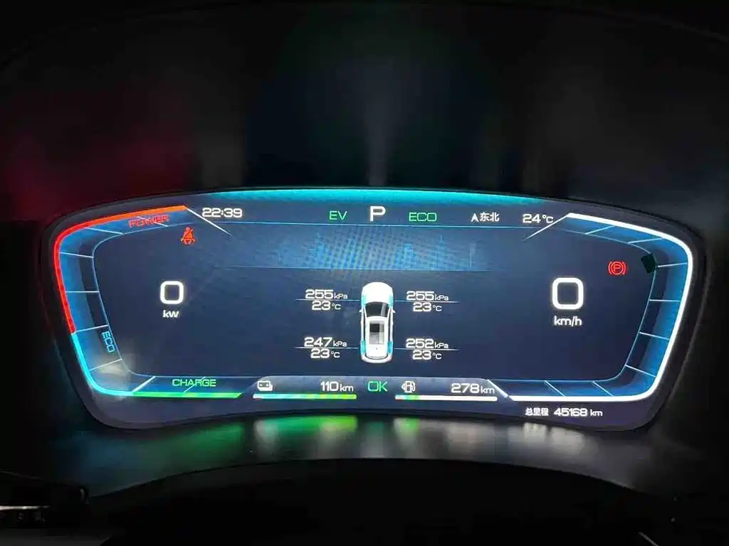 BYD PLUS New Energy 2023 — фото 8