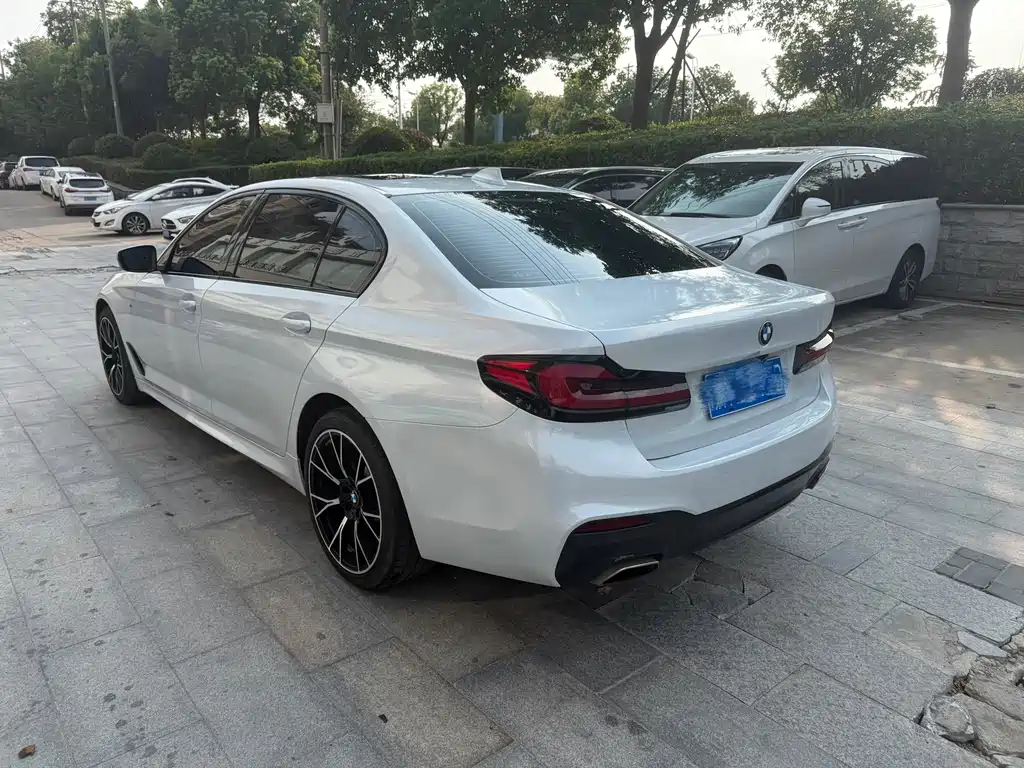 BMW 5 Series 2019