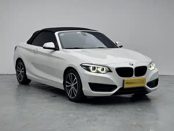 BMW 2 Series 2019
