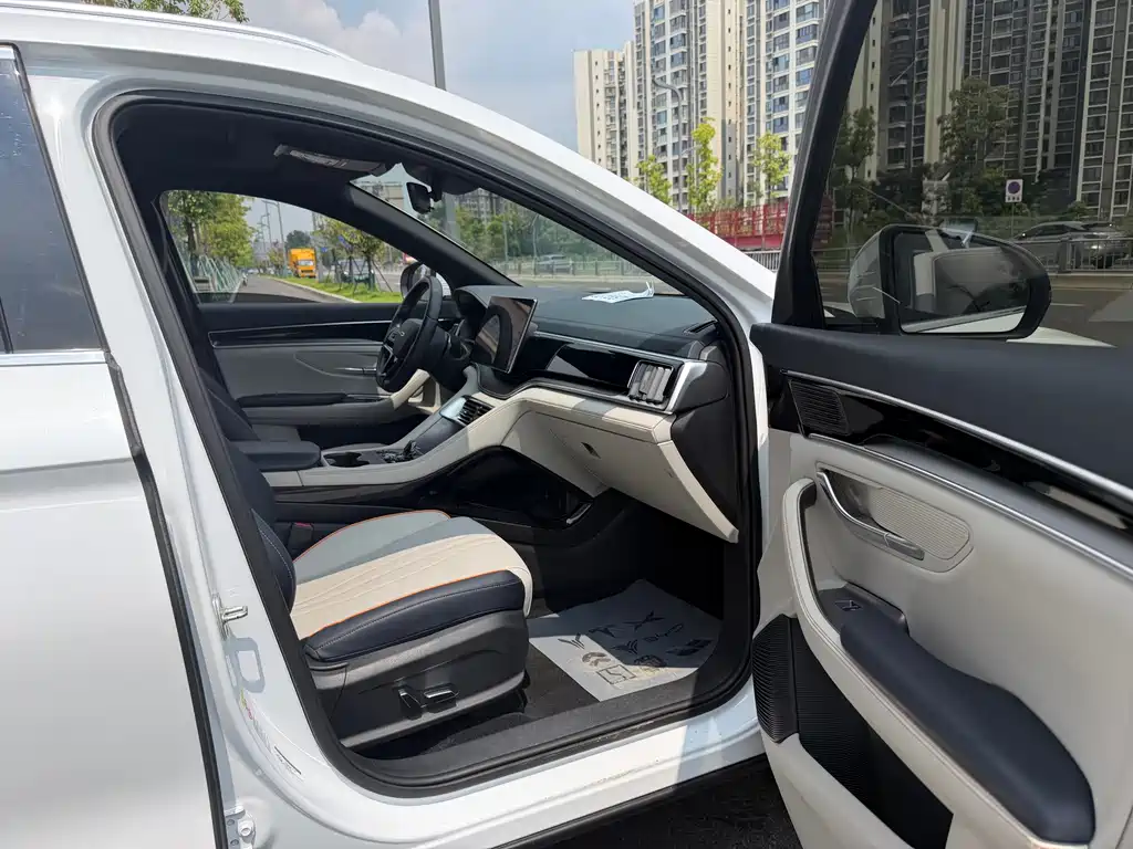 BYD Song PLUS New Energy 2023 — фото 14