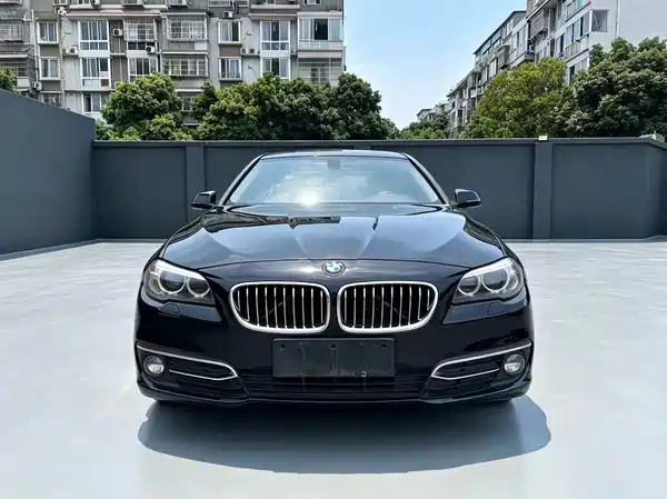 BMW 5 Series New Energy 2017