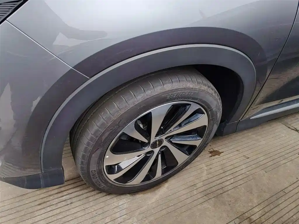 BYD PLUS New Energy 2024 — фото 23
