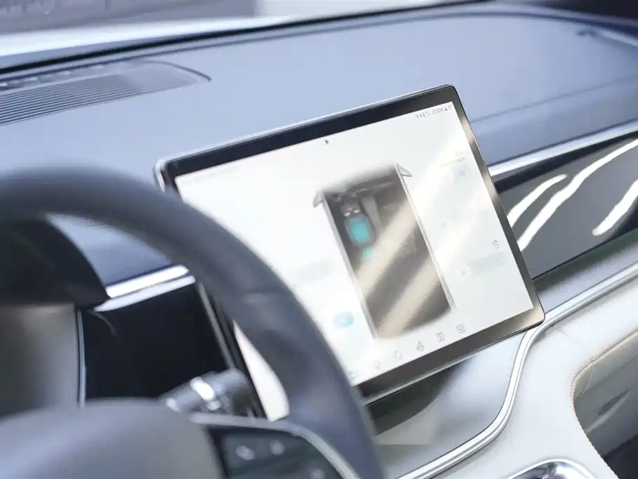 BYD PLUS New Energy 2023 — фото 14