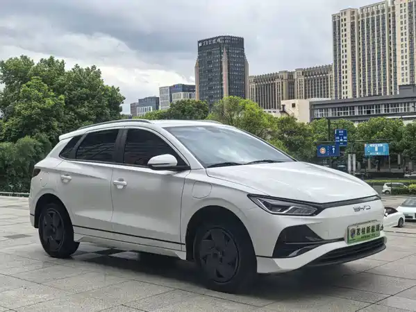 BYD e2 2024