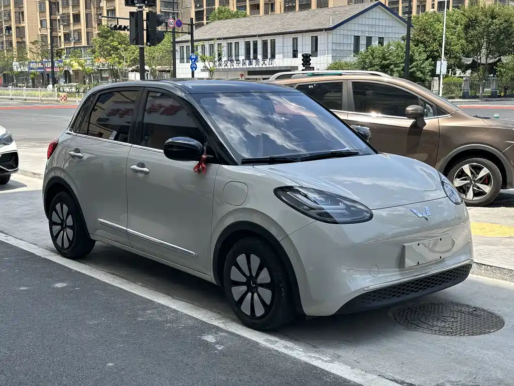 Wuling Bingo 2024