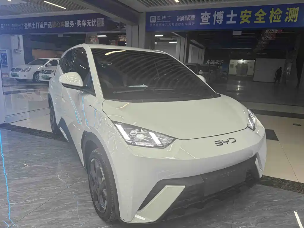 BYD Seagull 2024