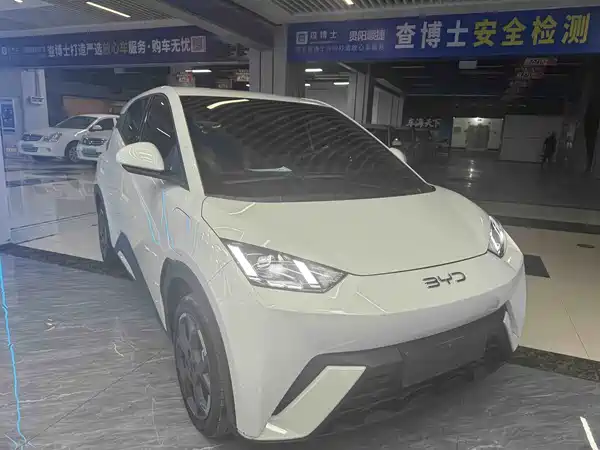 BYD Seagull 2024