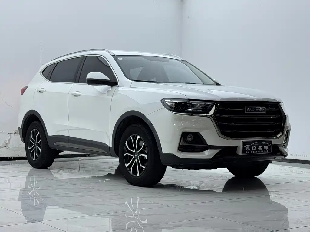 Haval H6 2021 — фото 2