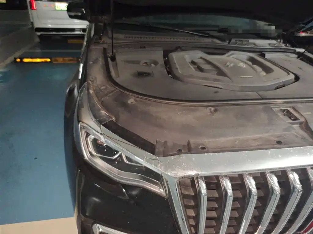 Hongqi HS7 2023