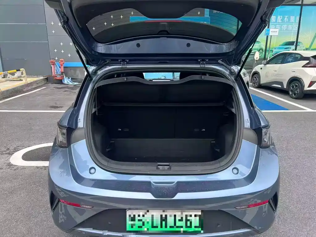 BYD Dolphin 2025