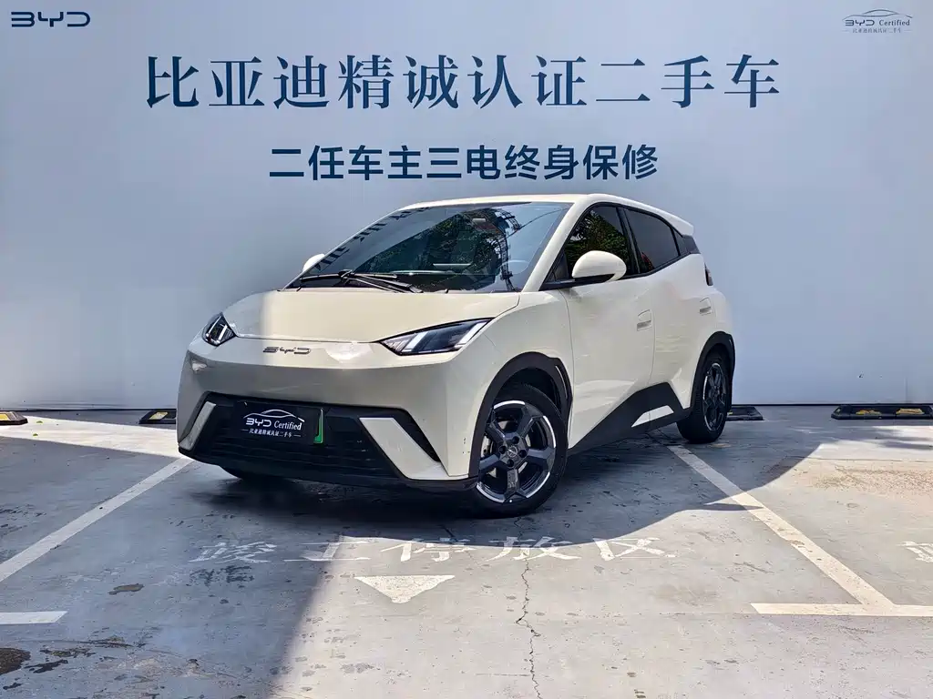 BYD Seagull 2024