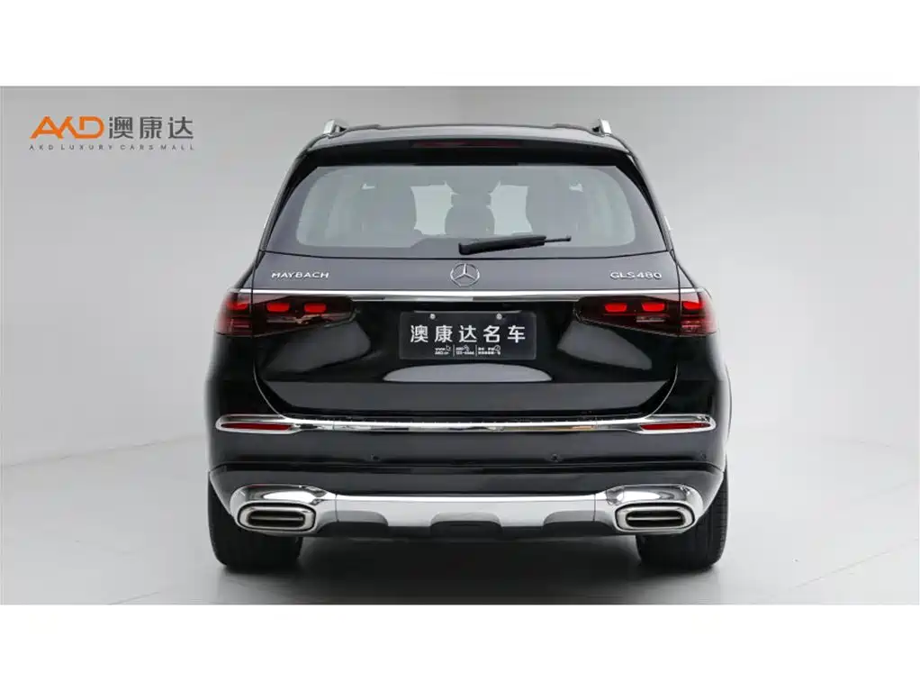 Mercedes-Benz GLS 2024 — фото 4