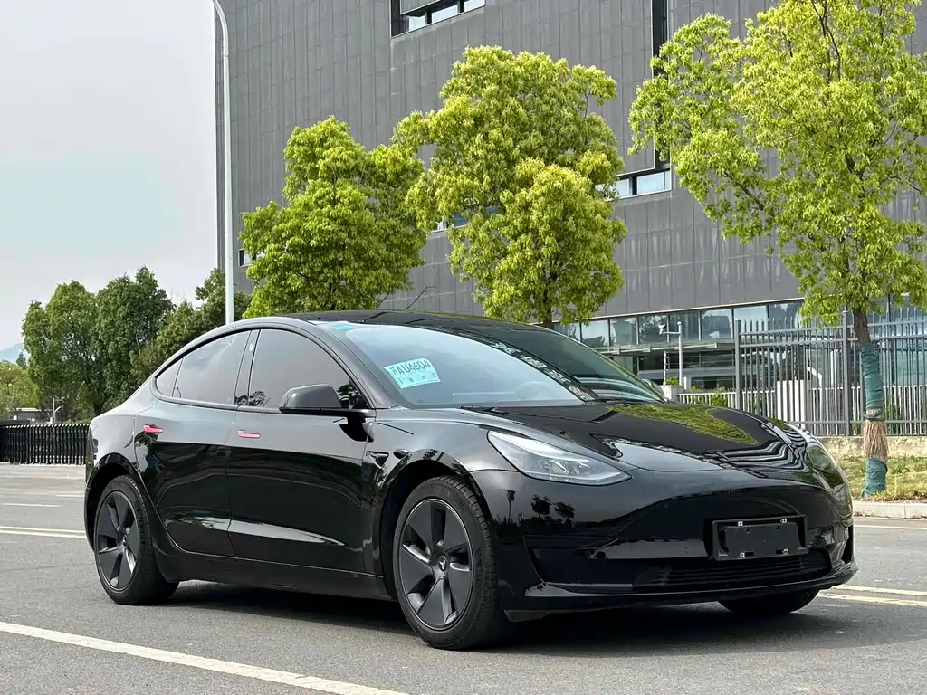 Tesla Model 3 2020 — фото 3