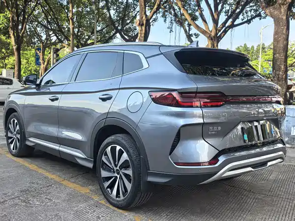 BYD Song PLUS New Energy 2024