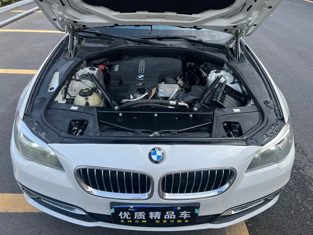 BMW 5 Series 2017 — фото 24