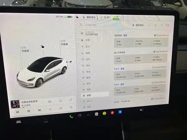 Tesla Model 3 2020
