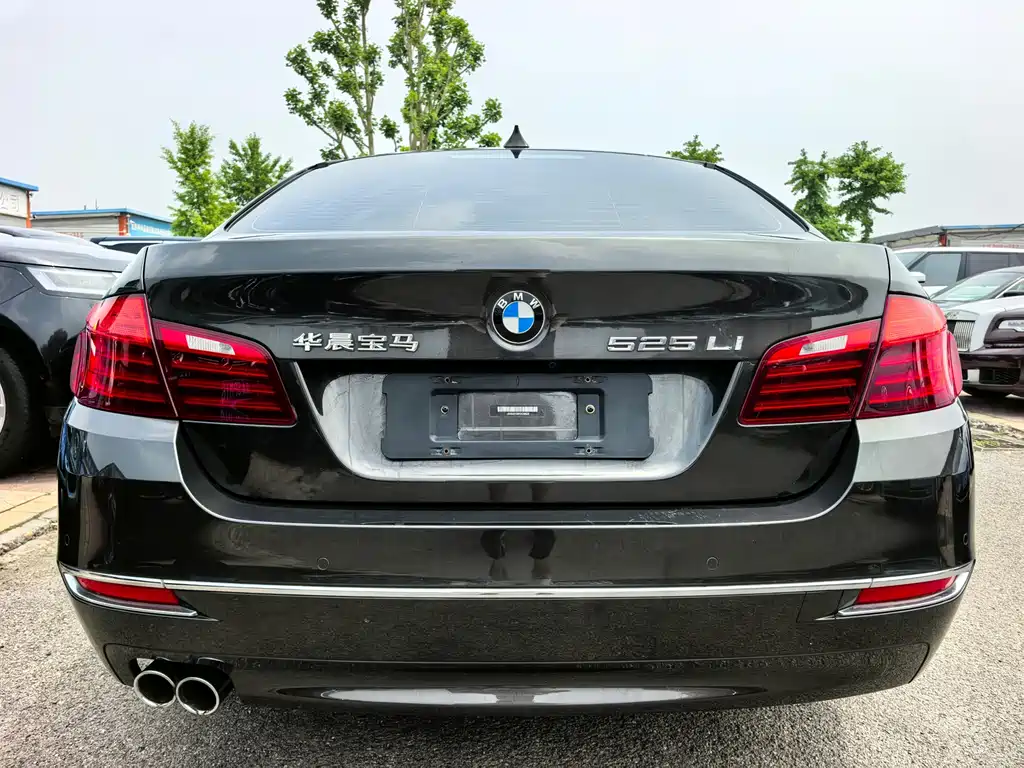 BMW 5 Series 2014 — фото 16