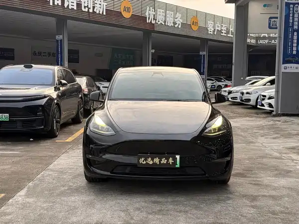 Tesla Model Y 2021