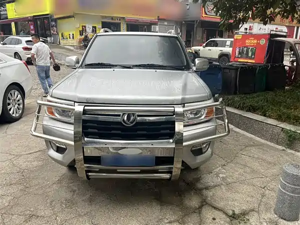 Dongfeng Ruiqi 2018