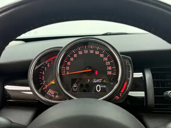 MINI 2019
