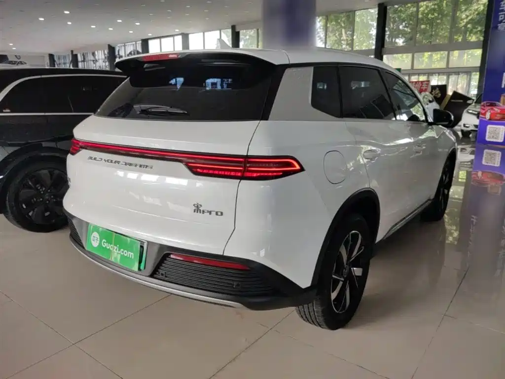 BYD Pro New Energy 2024 — фото 7