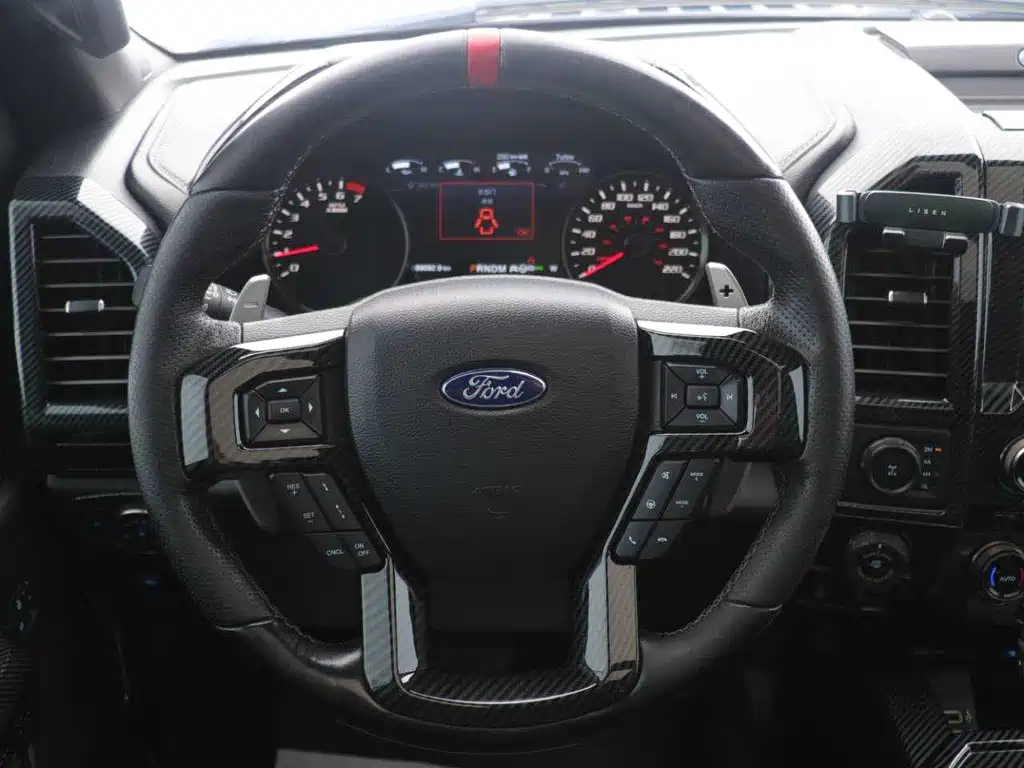 Ford F-150 Raptor 2020 — фото 12